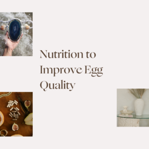 Fertility Diet to Improve Egg Quality