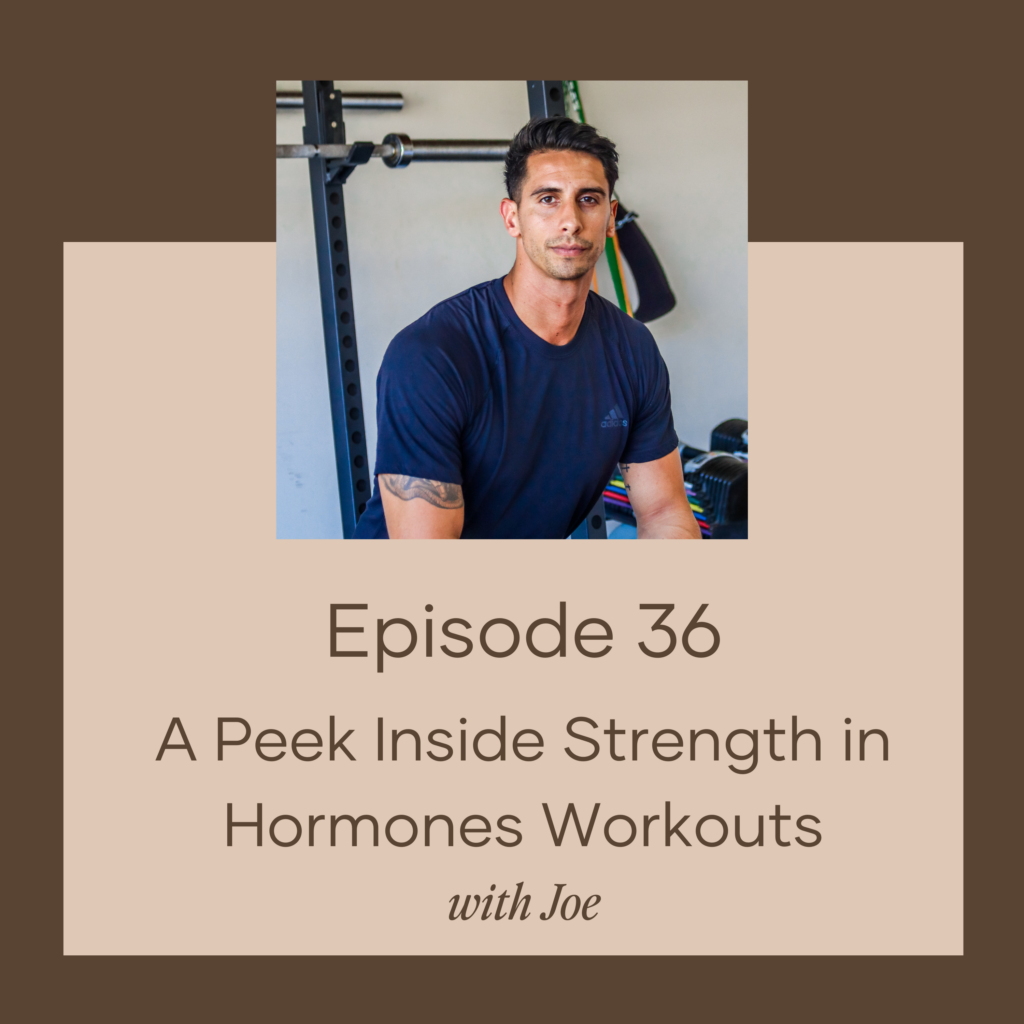 A Peek Inside Strength in Hormones Workouts with Joe - Functional ...