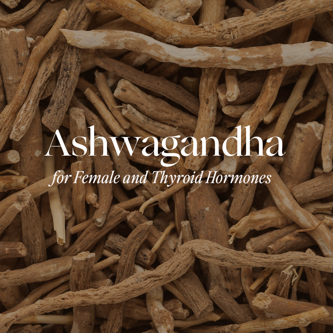 Ashwagandha is an adaptogenic herb that can support female and thyroid hormones.