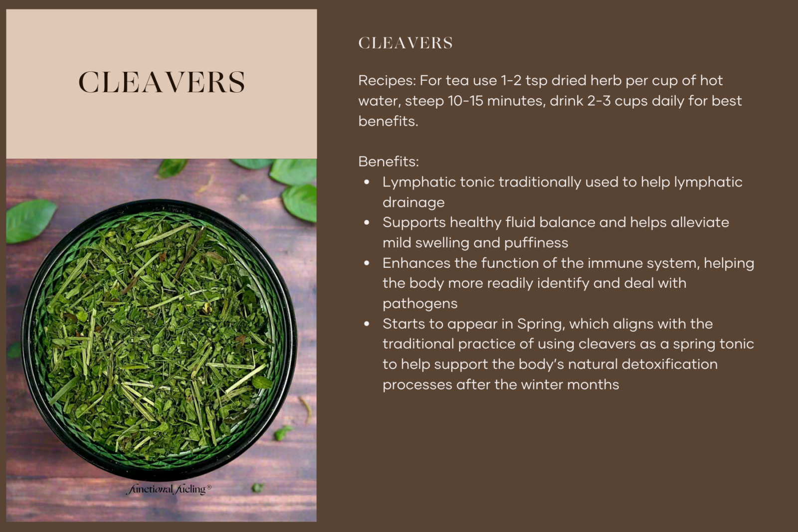 Herbs for Lymphatic Drainage: 6 Herbal and Nutrition Remedies ...
